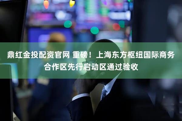 鼎红金投配资官网 重磅！上海东方枢纽国际商务合作区先行启动区通过验收