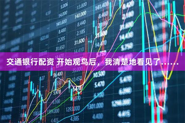 交通银行配资 开始观鸟后，我清楚地看见了……