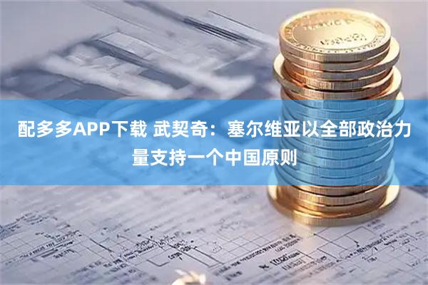 配多多APP下载 武契奇:塞尔维亚以全部政治力量支持一个中国原则