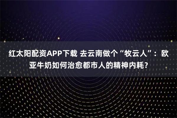 红太阳配资APP下载 去云南做个“牧云人”：欧亚牛奶如何治愈都市人的精神内耗？