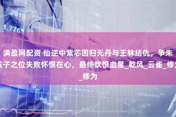满盈网配资 仙逆中紫芯因归元丹与王林结仇,争朱雀子之位失败怀恨在心,最终饮恨血星_乾风_云雀_修为